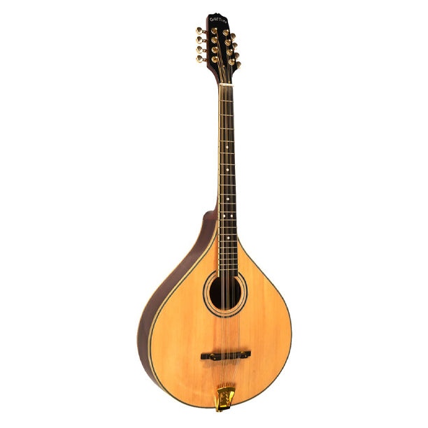Gold Tone OM-800+ Octave Mandolin (with Case)