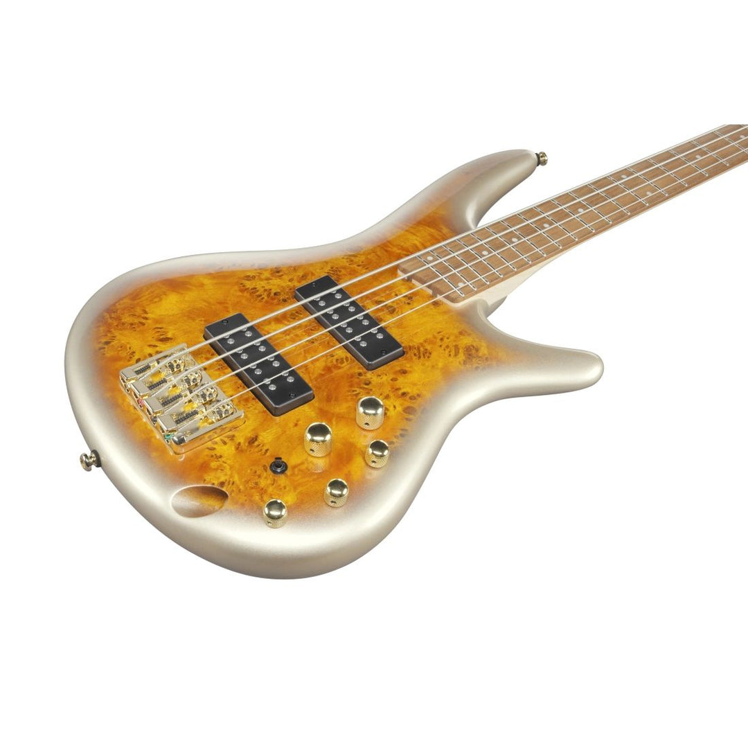 Ibanez SR Standard Bass (Mars Gold Metallic Burst)