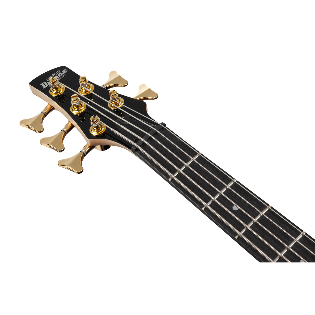 Ibanez Gio SR Electric Bass (Transparent Marine Burst) GSR205PCTMU