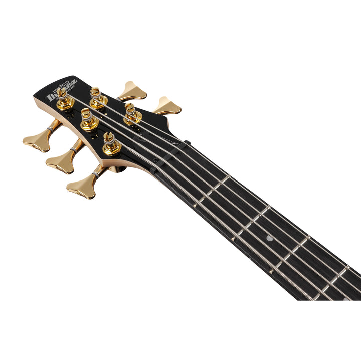 Ibanez Gio SR Electric Bass (Transparent Marine Burst) GSR205PCTMU