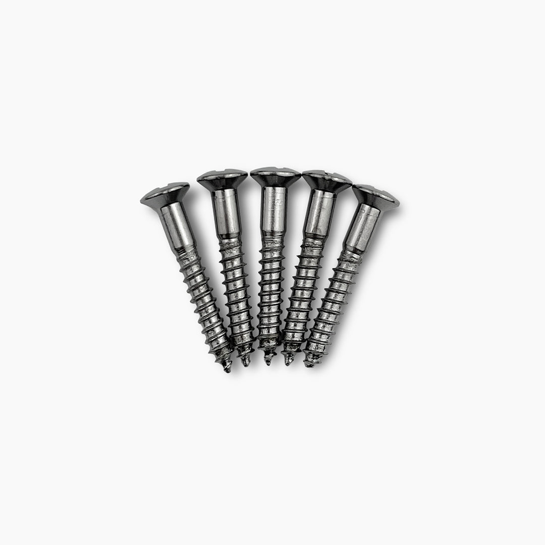 Allparts GS-3364 1-in. Bridge Mounting Screws Chrome