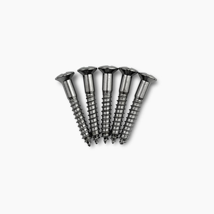 Allparts GS-3364 1-in. Bridge Mounting Screws Chrome