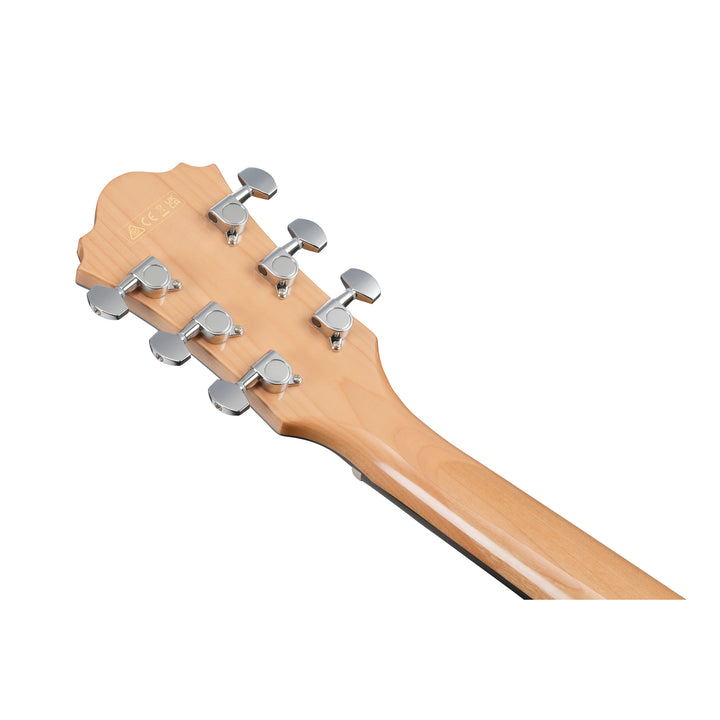 Ibanez Acoustic/Electric (Natural) TAE170NTR