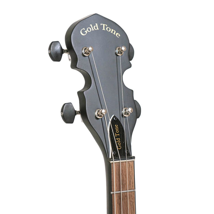 Gold Tone Acoustic Composite 4-String Openback Irish Tenor Banjo with Gig Bag