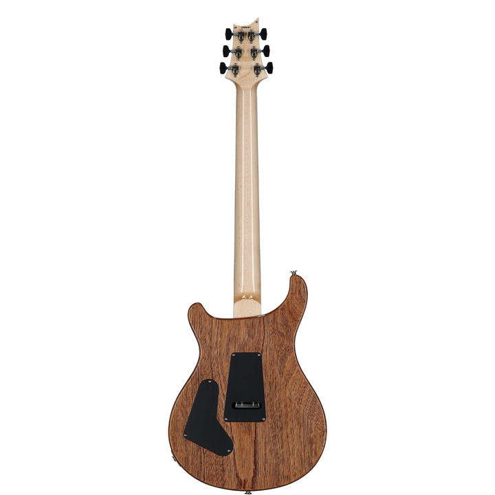 PRS Custom 24 "Floyd" - 10 Top  (Aurora Borealis)