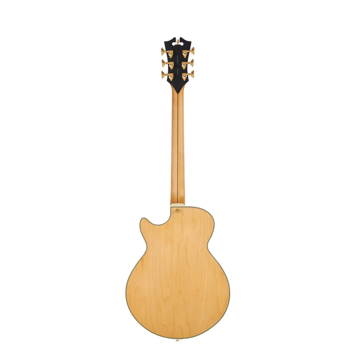 D'Angelico Single Cutaway