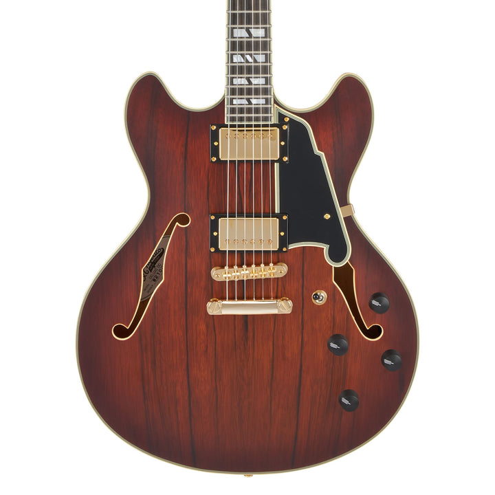 D'Angelico Double Cutaway