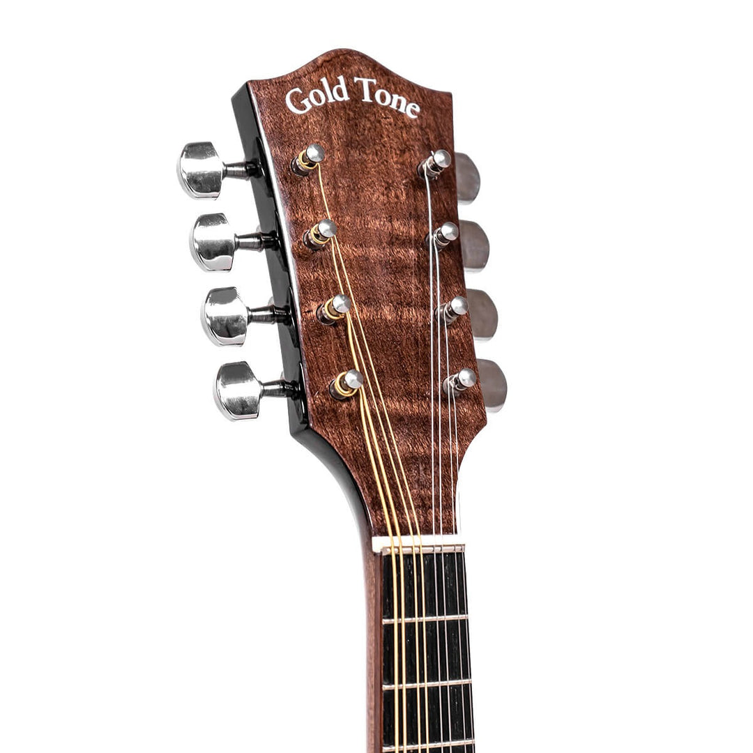 Gold Tone Mandolin-Banjo with Bag