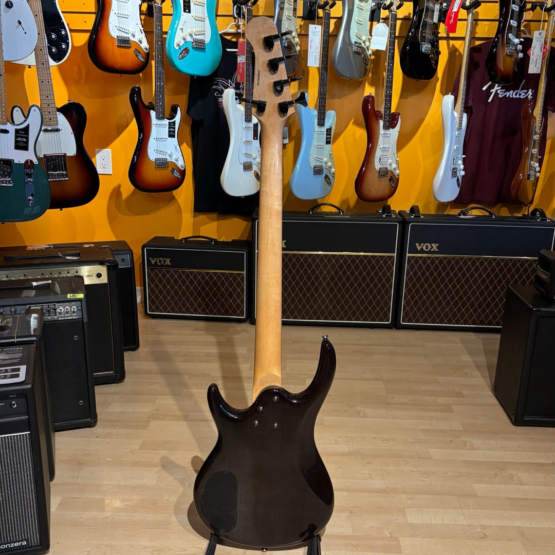 Epiphone -Embassy STD V5 / 5 String Bass (Passive - Trans Black - 2005) - USED