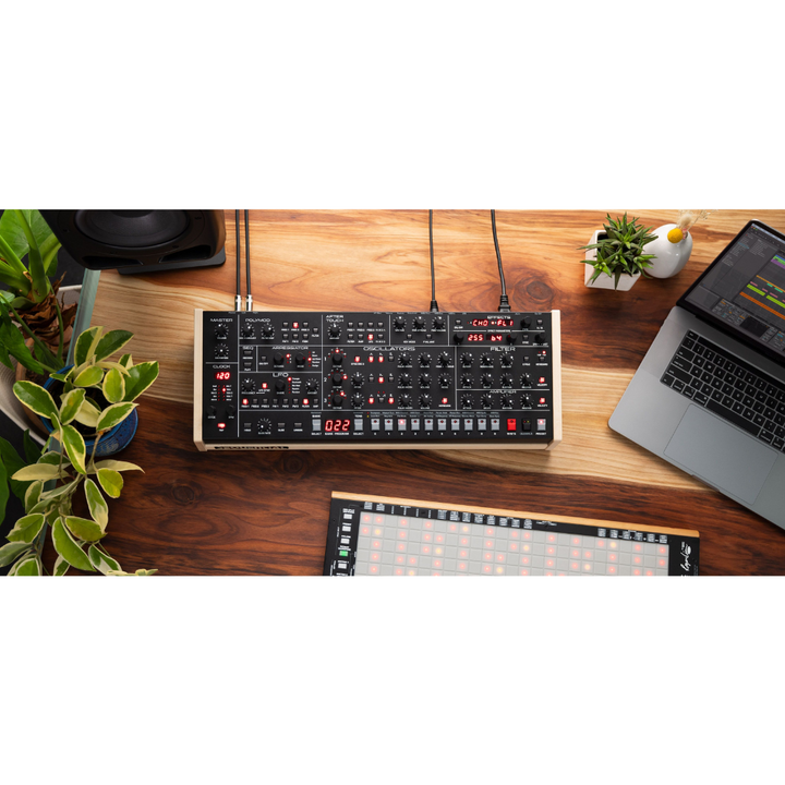 Sequential Trigon-6 Desktop Analog Synth Module