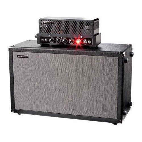 50-watt 2x12" guitar extension cabinet loaded with Celestion Greenback speakers. Pairs with the DH15H DarkHorse head. Removable panels allow tuning of the cabinet sound.
