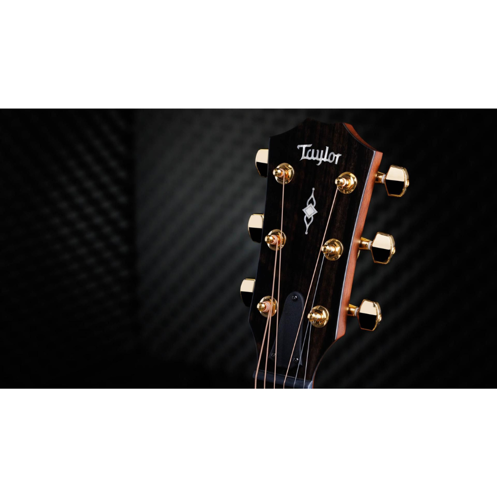 Taylor 50th Anniv. 314ce LTD Grand Auditorium Sapele/Torrefied Spruce Acoustic Electric Guitar