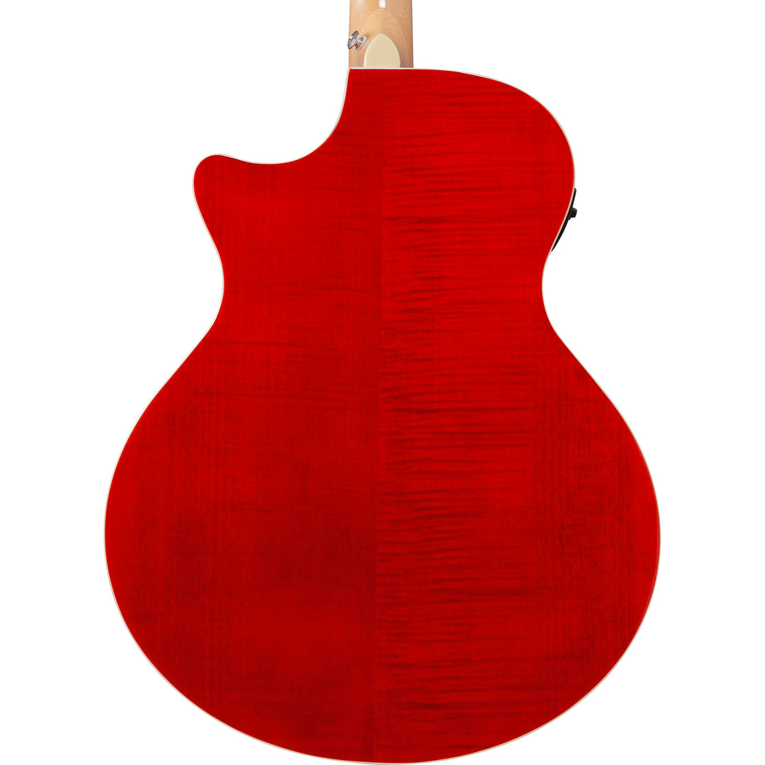 Ibanez Acoustic/Electric (Natural) TAE170NTR