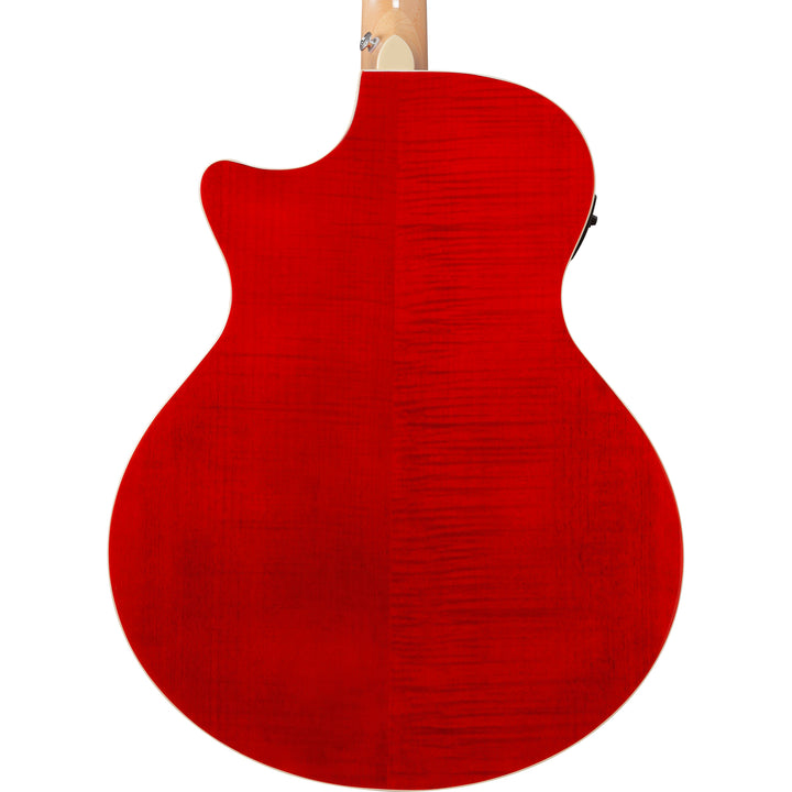 Ibanez Acoustic/Electric (Natural) TAE170NTR