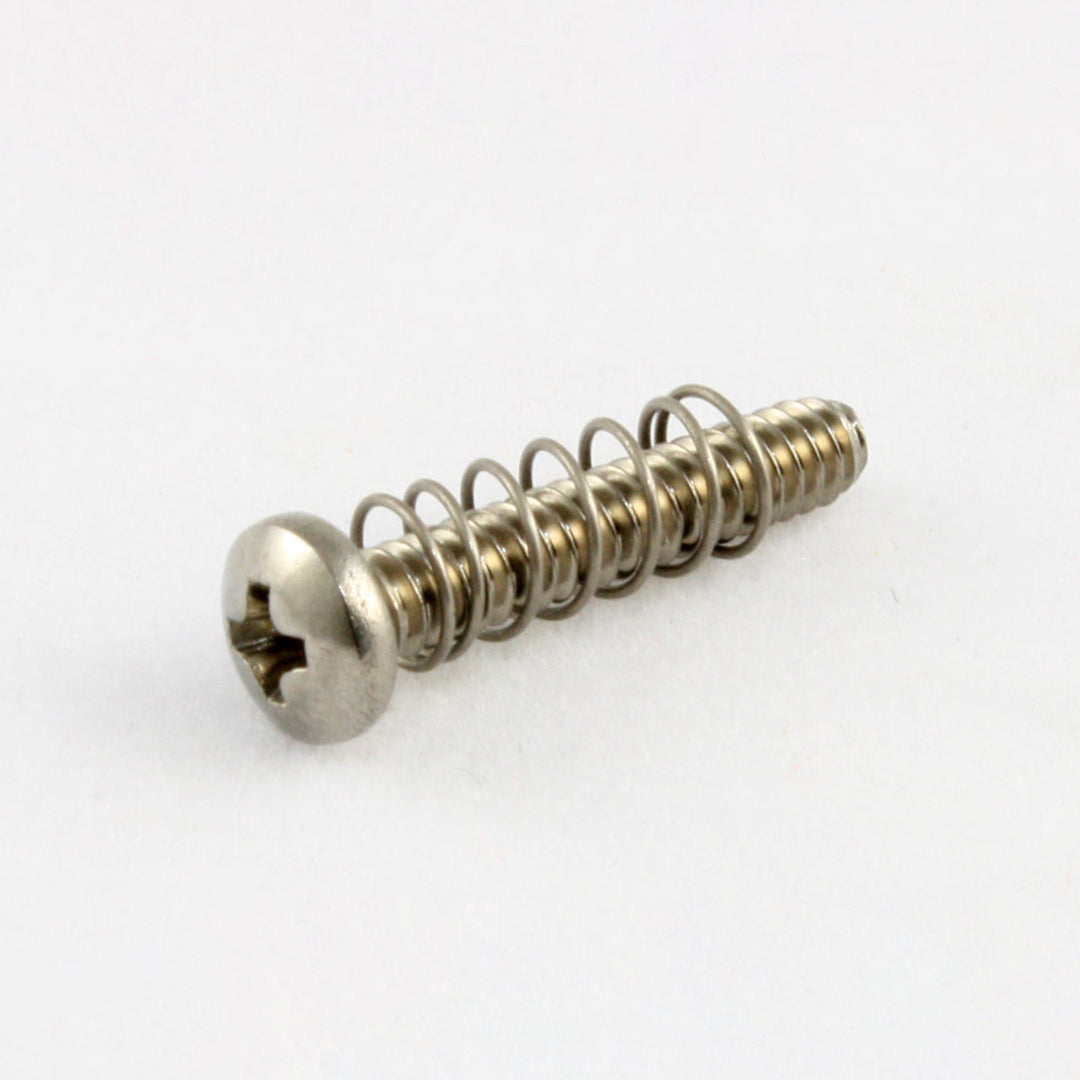 Allparts GS-0004 Bridge Length Screws Stainless Steel