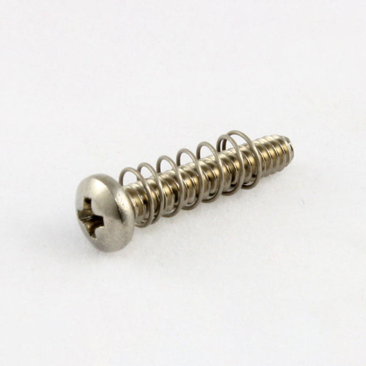 Allparts GS-0004 Bridge Length Screws Stainless Steel