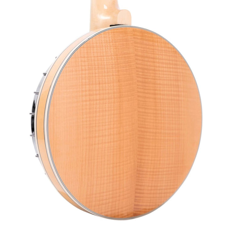 Gold Tone Banjitar Deluxe with Case