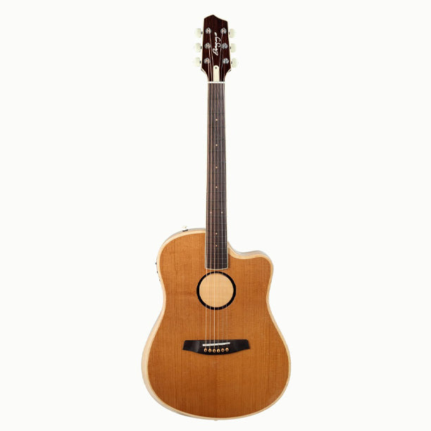 AEG-1 Acoustic/Electric Guitar with Gigbag - Torrefied Sitka Spruce