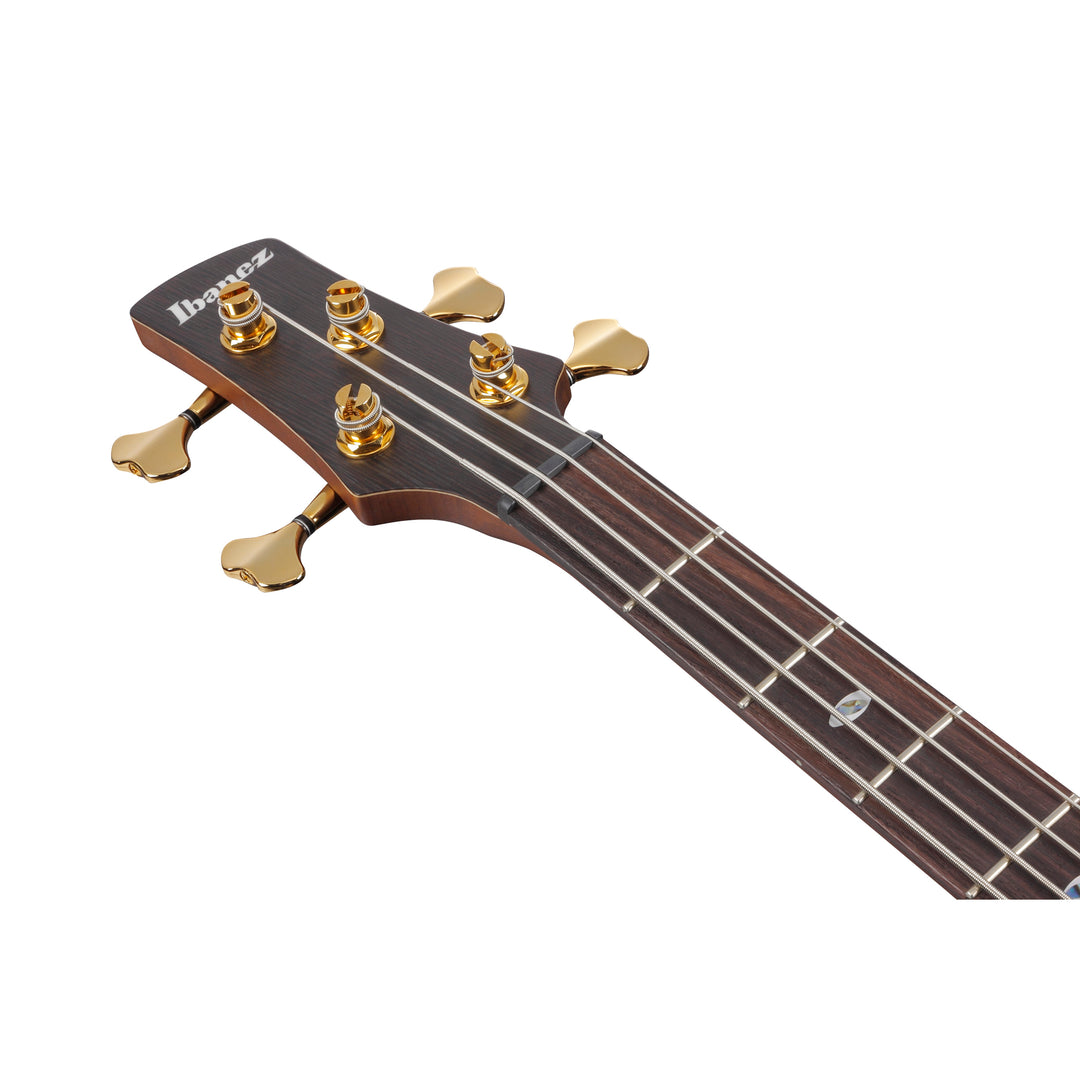 Ibanez SR Prestige Bass (Mocha Flat) SR5500MHF