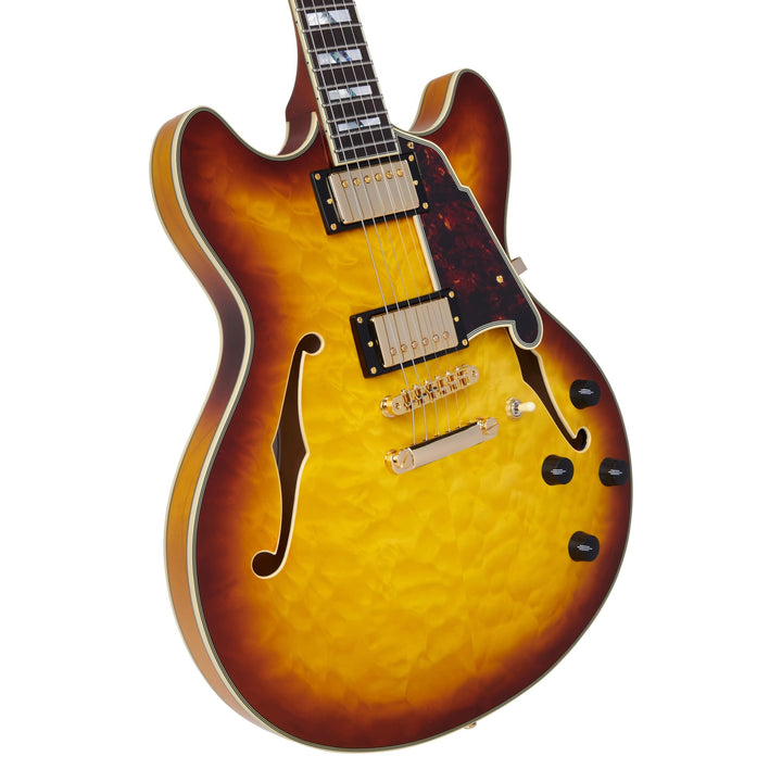 D'Angelico Double Cut Semi-Hollow
