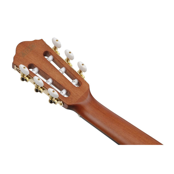 Ibanez FRH Acoustic/Electric (Rose Gold Metallic Flat) FRH10NRGF