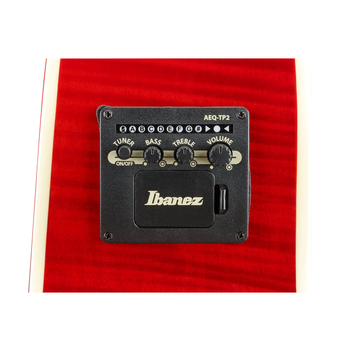 Ibanez Acoustic/Electric (Natural) TAE170NTR