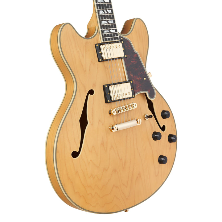 D'Angelico Double Cutaway