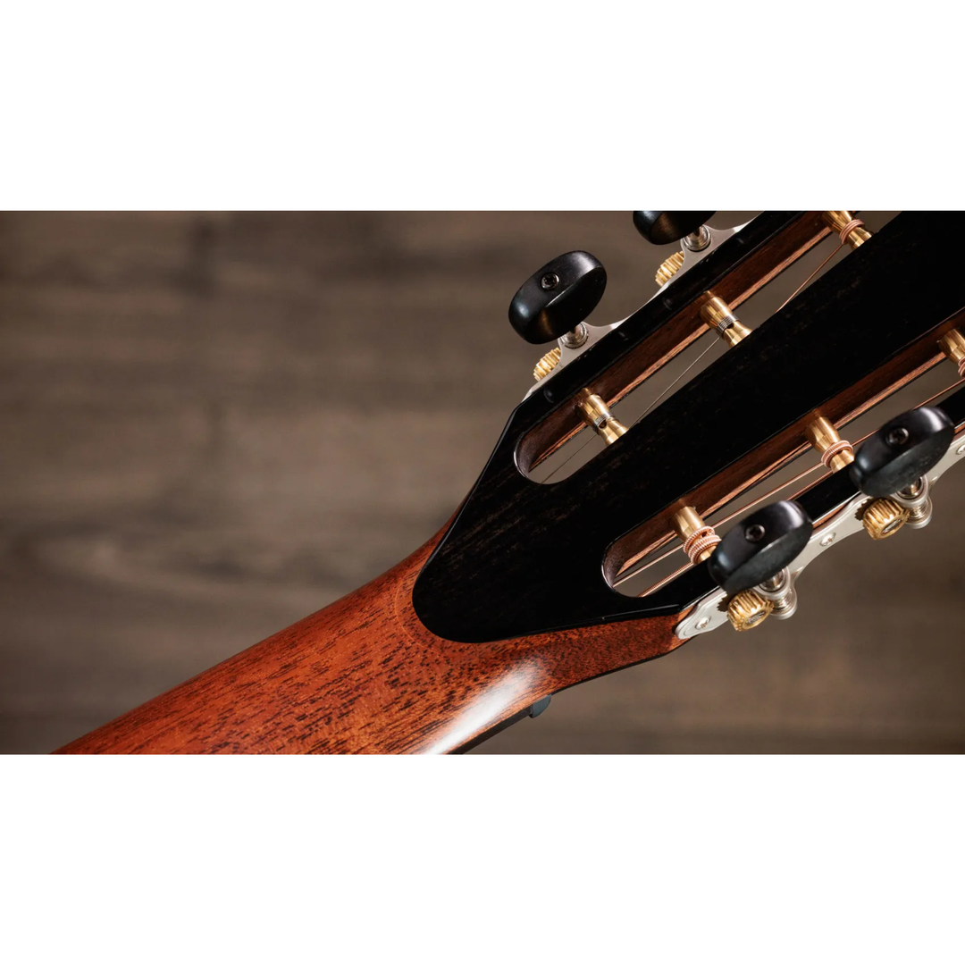 Taylor Next Generation PS12ce 12-Fret Acoustic Guitar