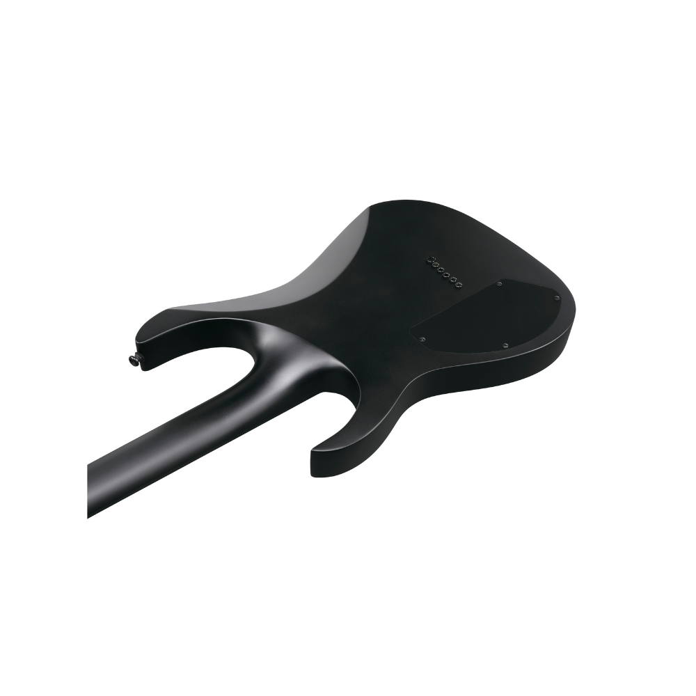 Ibanez RG Iron Label (Black Flat) RGRTBB21BKF