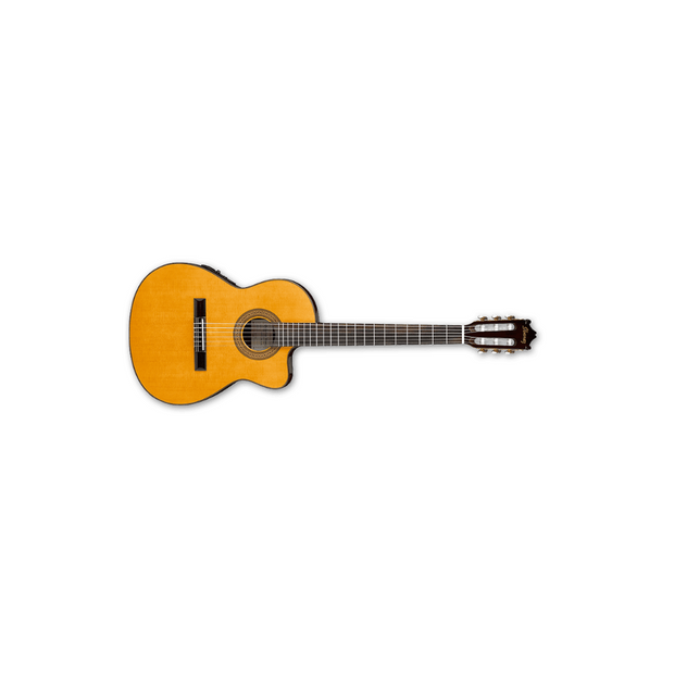 Ibanez Acoustic Guitars Nylon String - Amber High Gloss – Music City Canada