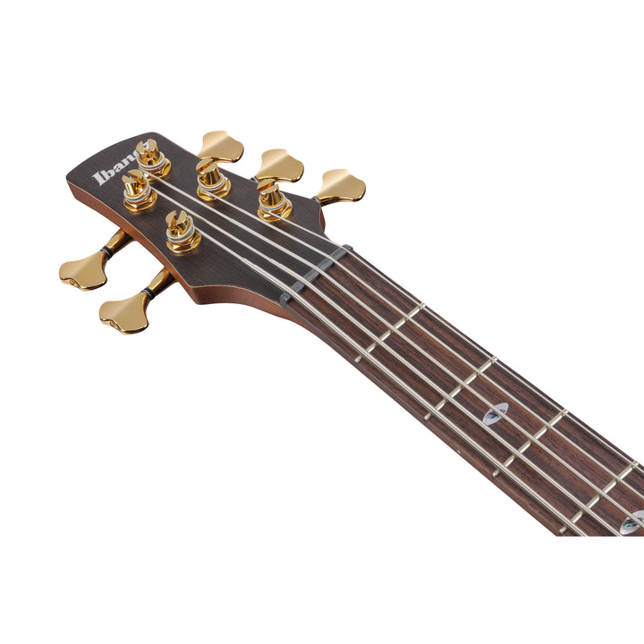 Ibanez SR Prestige 5 String Bass (Ghost Fleet Blue Burst) SR6605GFB