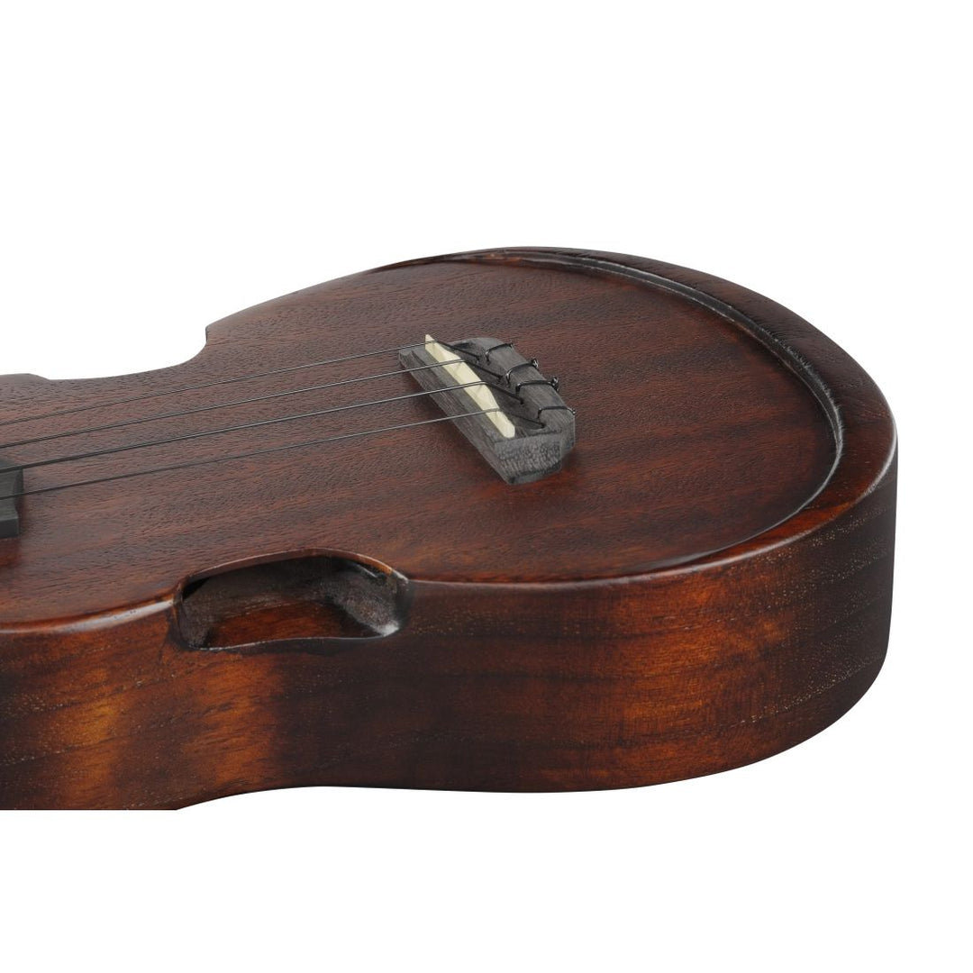 Ibanez Open Pore Ukulele with Gigbag - Violin Sunburst