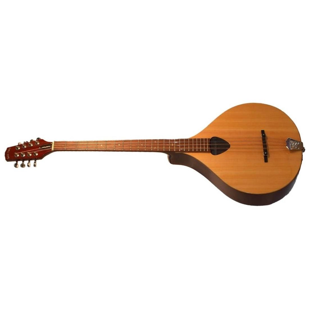 Gold Tone Irish Bouzouki (Cittern) Solid Spruce/Mahogany Left-Handed w/Case