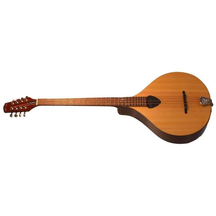 Gold Tone Irish Bouzouki (Cittern) Solid Spruce/Mahogany Left-Handed w/Case