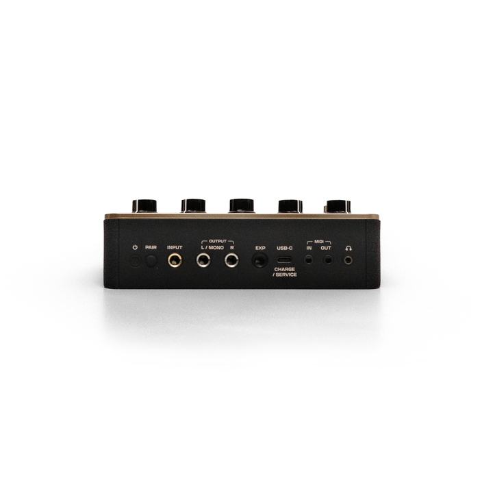 Positive Grid Spark Pedal