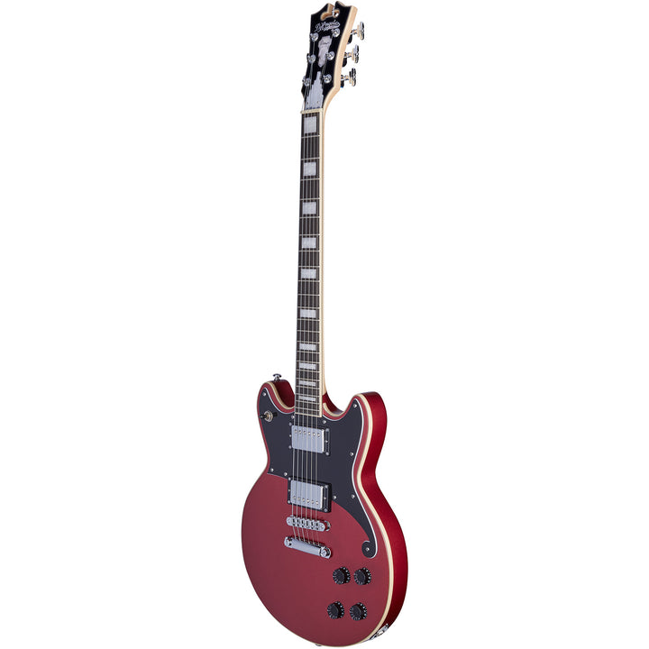 D’Angelico Premier Brighton Electric Guitar