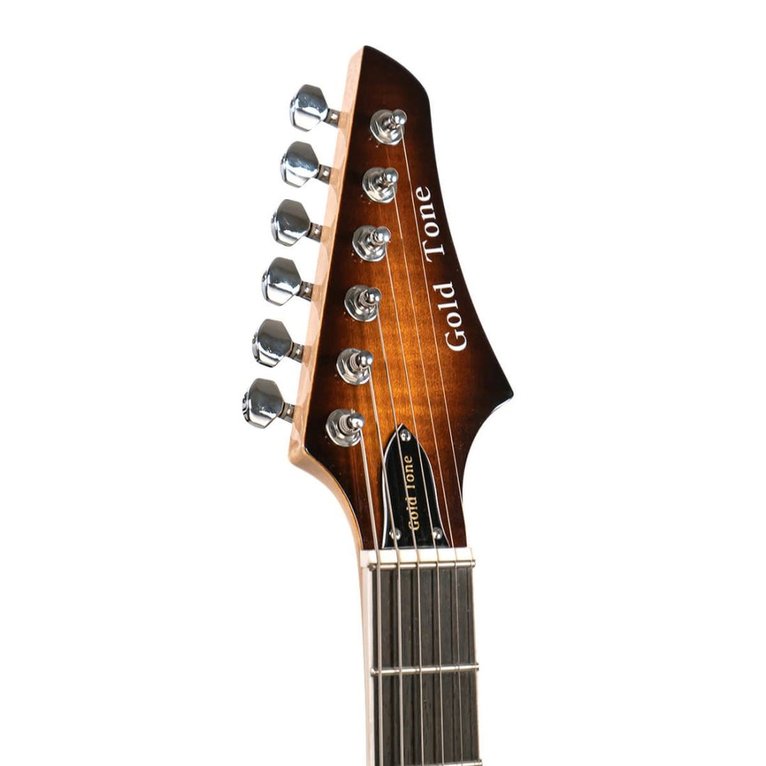 Gold Tone Gt Electric Banjitar with Case