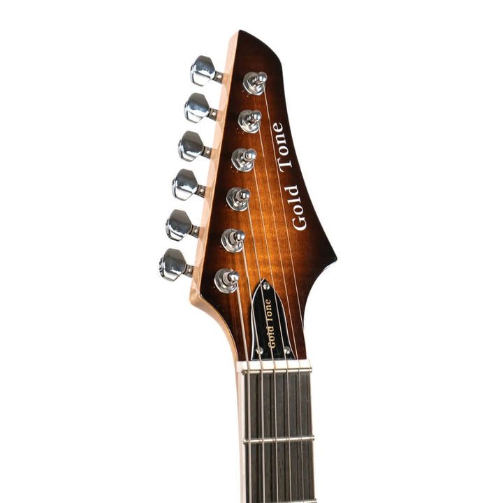 Gold Tone Gt Electric Banjitar with Case