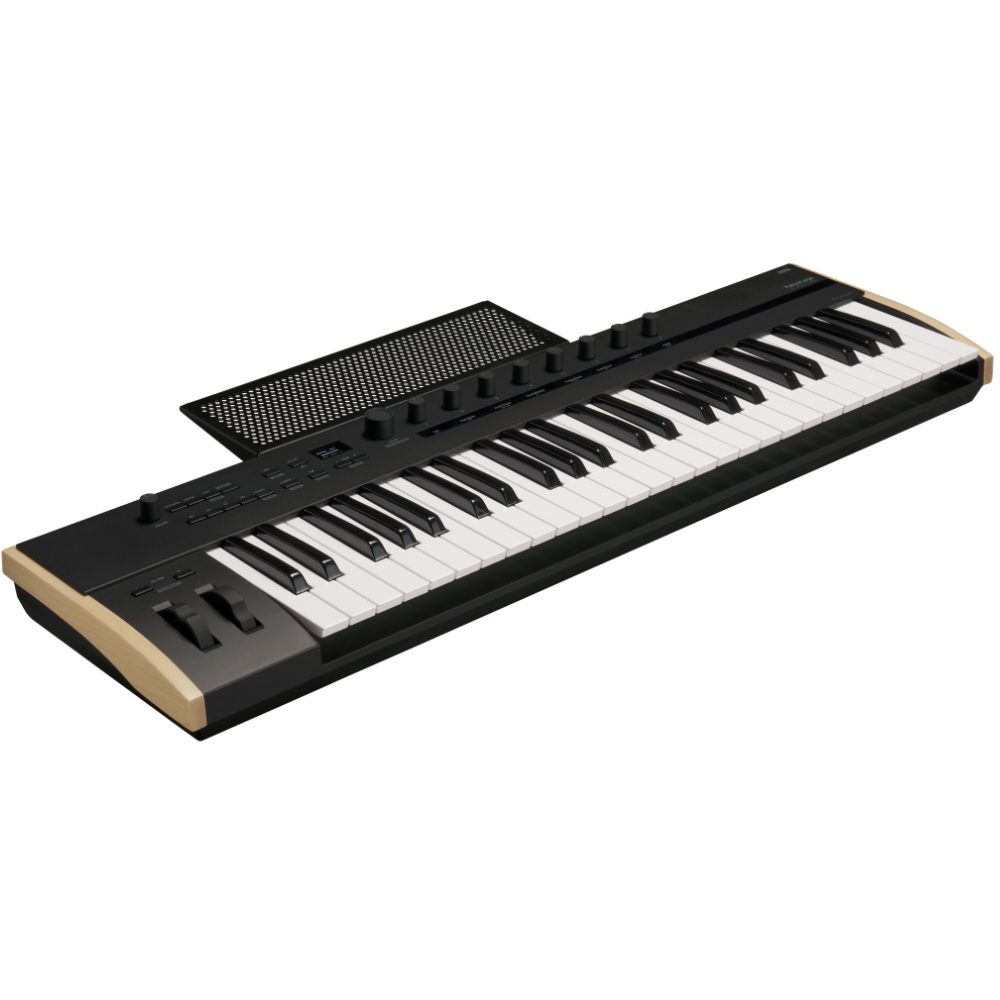 Korg KEYSTAGE49 49-key MIDI 2.0 Poly Aftertouch Keyboard/Controller
