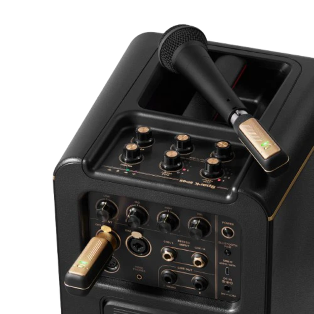 Positive Grid SPARK-LINK-XLR Wireless XLR Audio System – Music