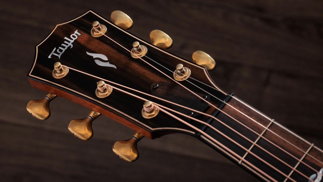 Overview

Honduran rosewood back and sides generate lush overtones
Sinker redwood top offers exceptional warmth and dynamic range
Beveled armrest and cutaway offer seamless, accommodating feel
V-Class bracing improves volume, sustain and pitch accuracy
Includes ES2 electronics and deluxe hardshell case