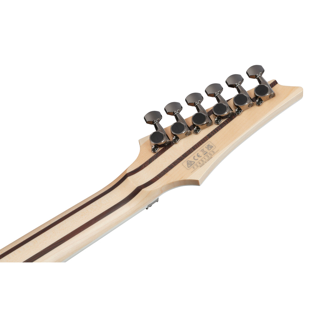 Ibanez RG Prestige (Frozen Ocean) RG5120MLFCN
