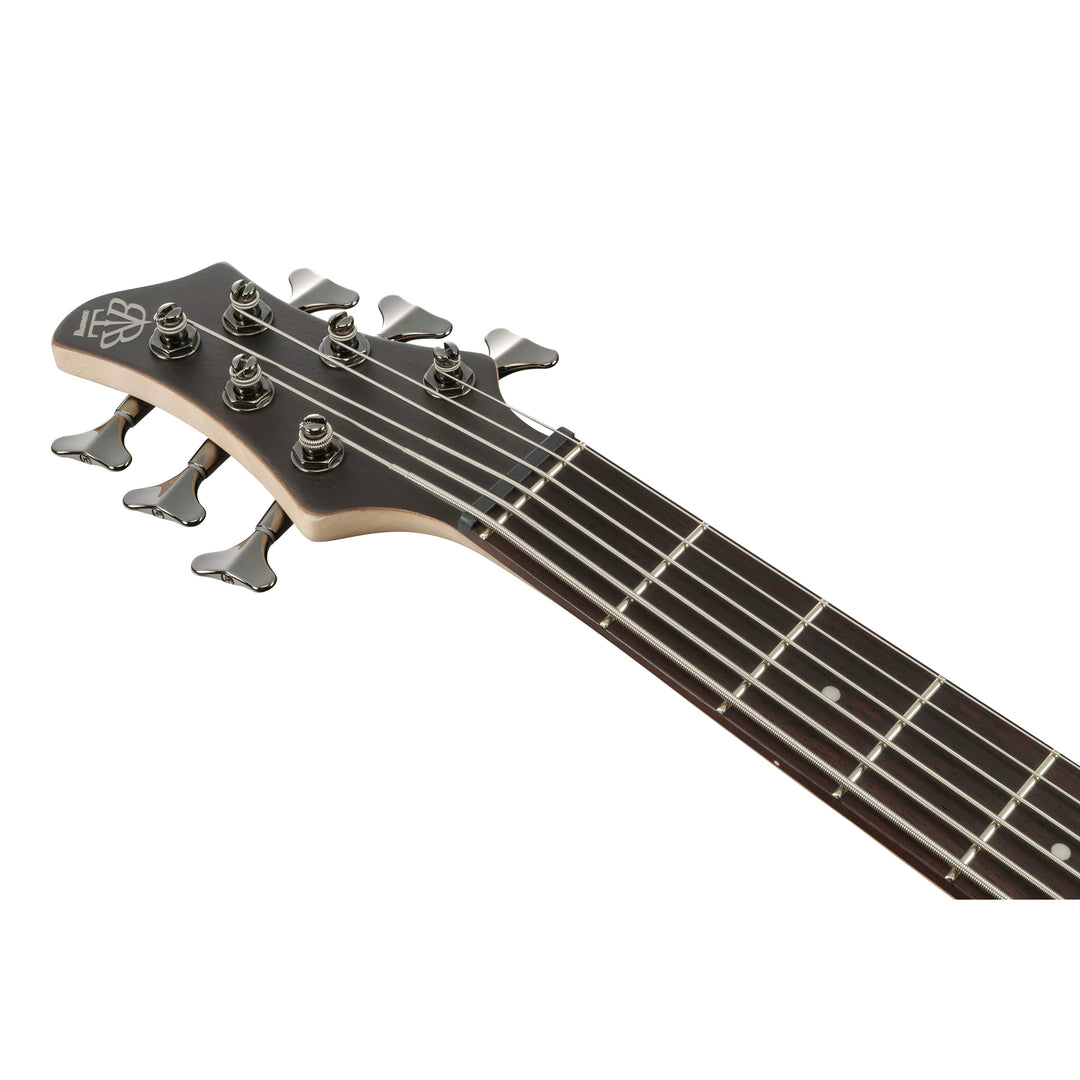 Ibanez BTB Standard 6 String Bass (Transparent Grey Flat) BTB606TGF