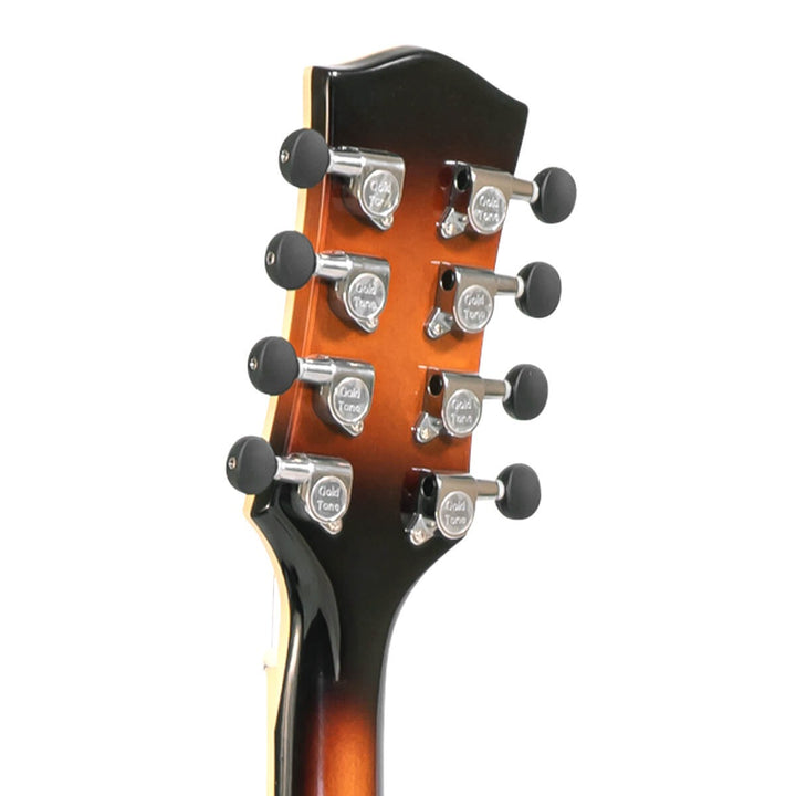Gold Tone Lefty Mandocello with Pickup and Case