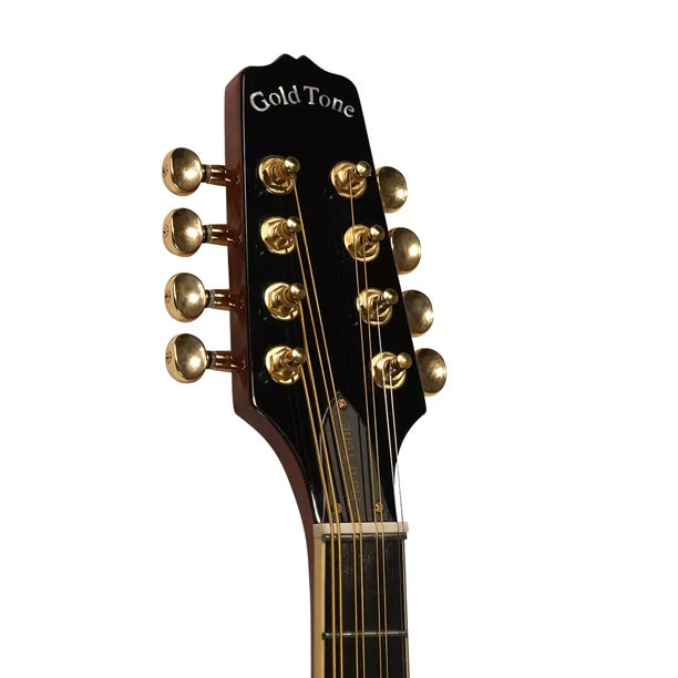 Gold Tone OM-800+ Octave Mandolin (with Case)