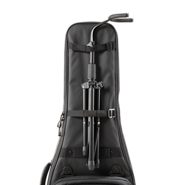 D'Addario PW-BLEGC-01 Backline Electric Guitar Case