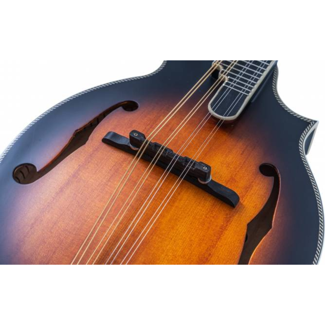 Washburn M3SEBRK Mandolin F Style