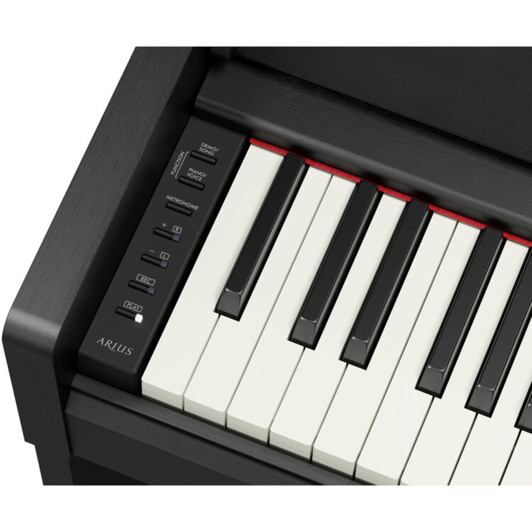 Yamaha YDPS36 B 88-Key Dgital Piano (Black)