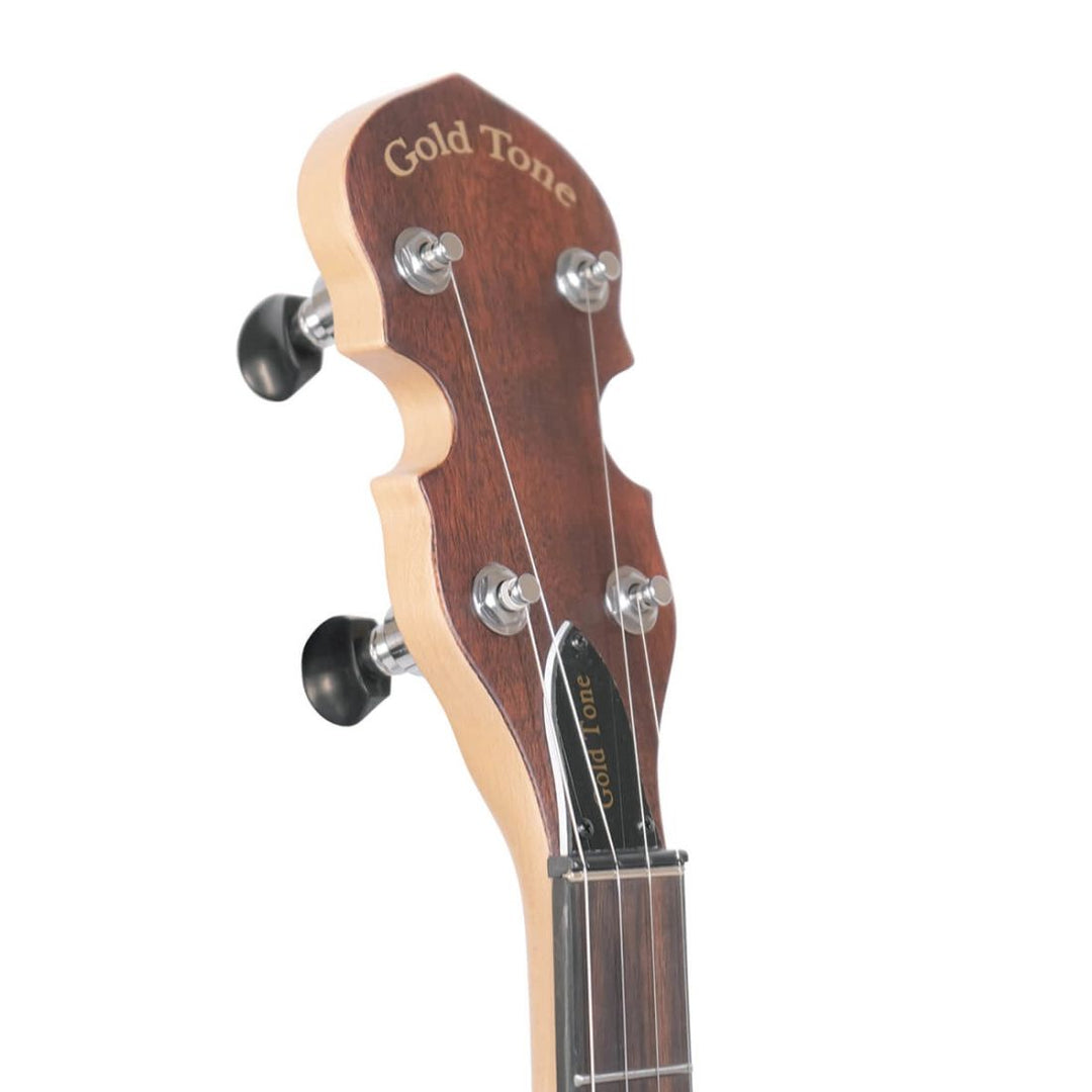 Gold Tone Gt Electric Banjo with Gig Bag