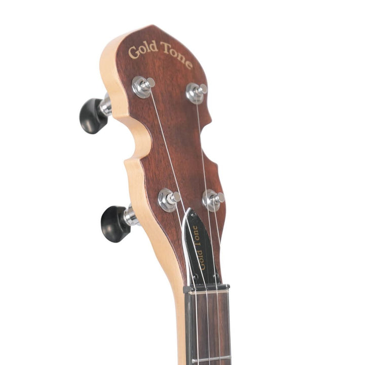 Gold Tone Gt Electric Banjo with Gig Bag